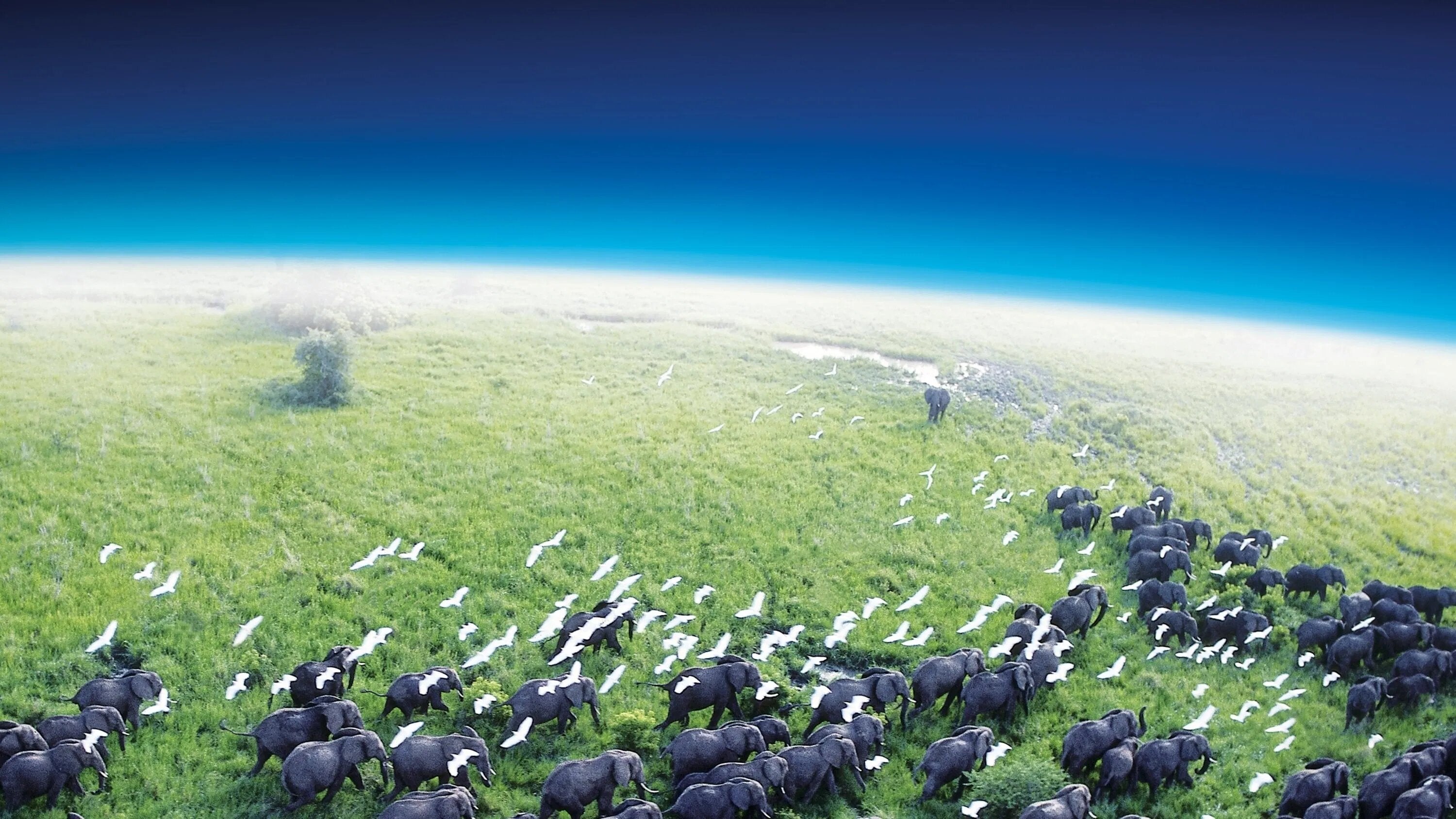Planet Earth and other nature-related titles are available to stream with ease this Earth Day.