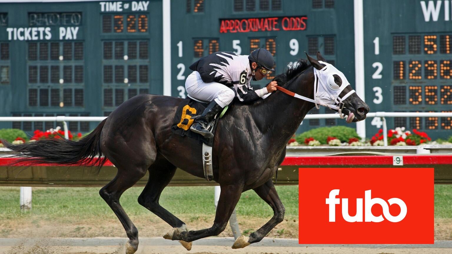 The 2024 Belmont Stakes will run on Saturday, June 8 at 6 p.m. ET on Fox, which means you can stream the race with Fubo.