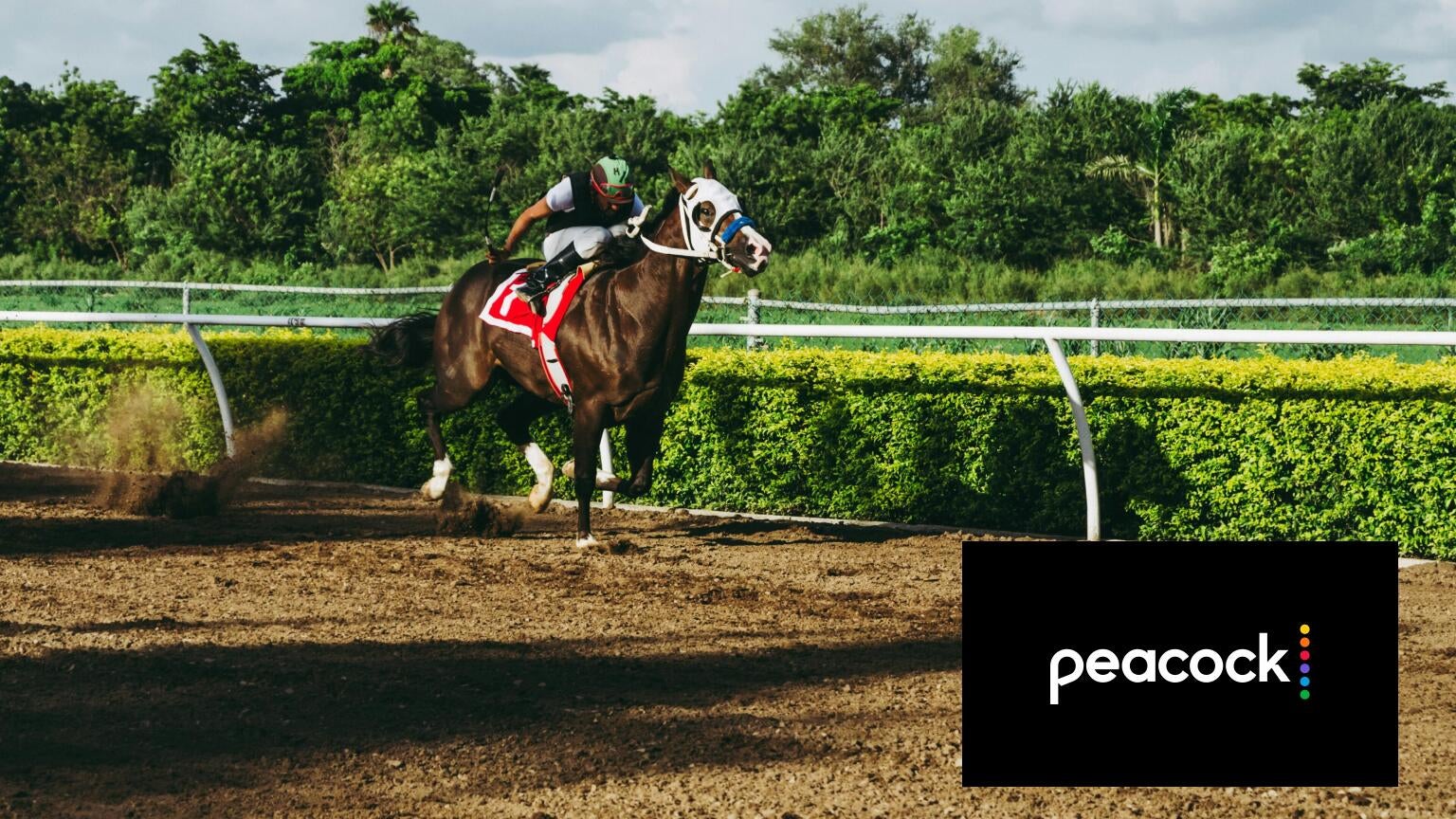 The 2024 Belmont Stakes horse race airs on Fox, which means you cannot watch it with a subscription to Peacock.