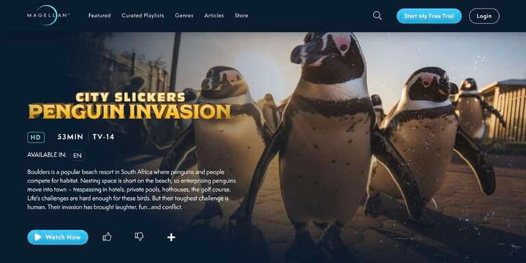 With over 3,000 titles already, MagellanTV adds new content every week.