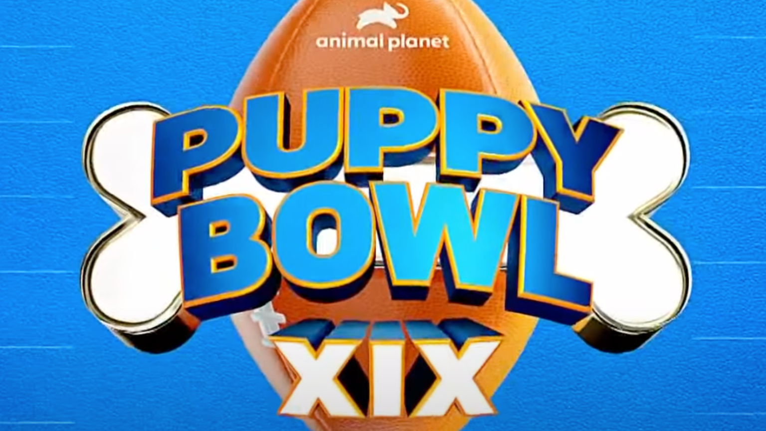 How to Watch 2023 Puppy Bowl Live Online for Free Without Cable The