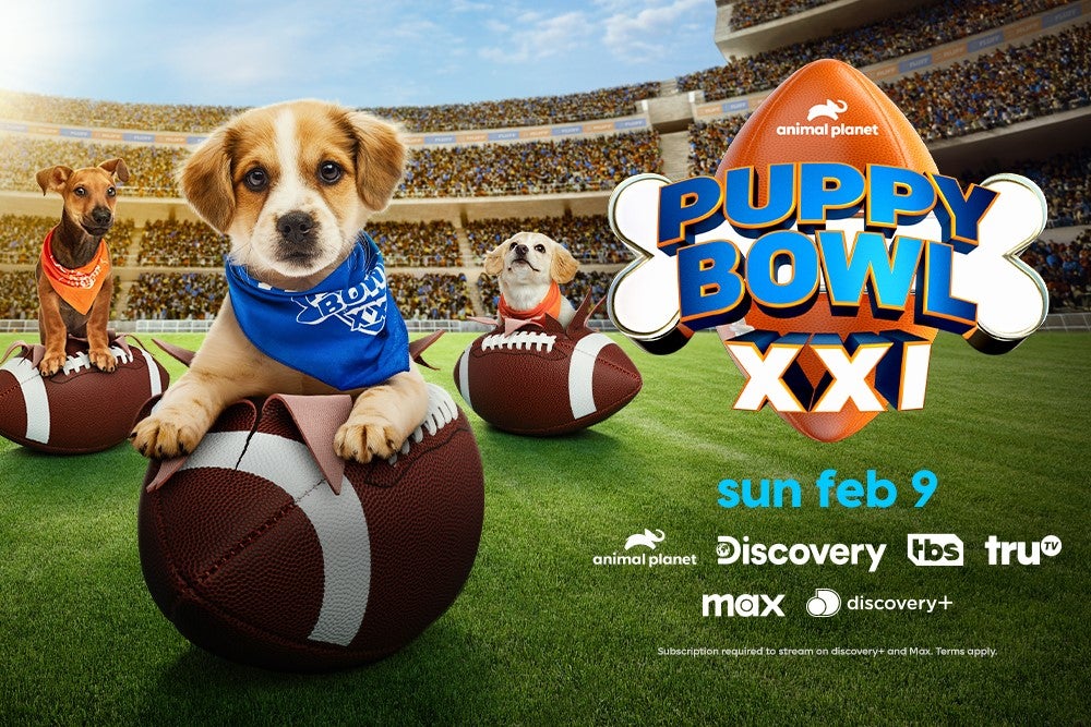 Puppy Bowl XXI takes over screens on Super Bowl Sunday before the Big Game kicks off.