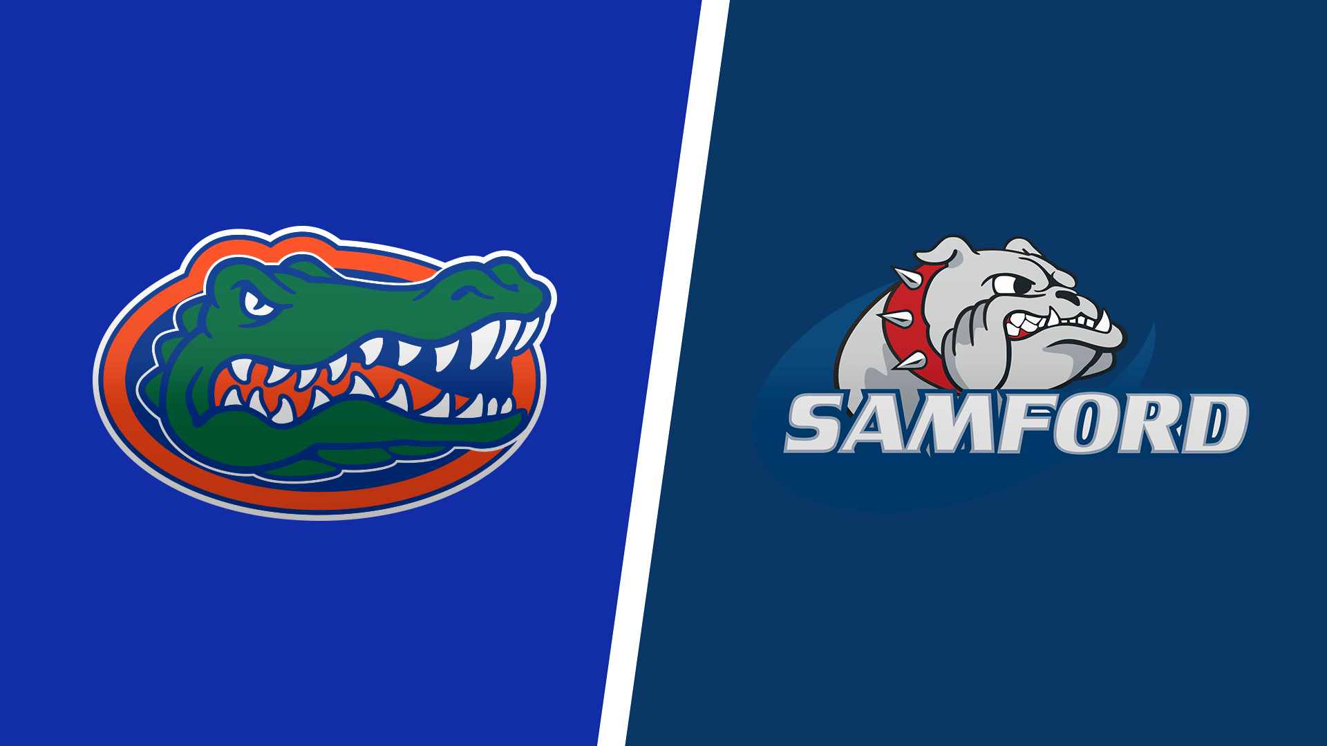 How to Watch Samford vs. Florida 2024 Football Game Live Without Cable