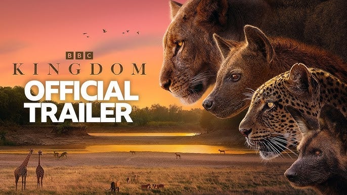 Kingdom BBC