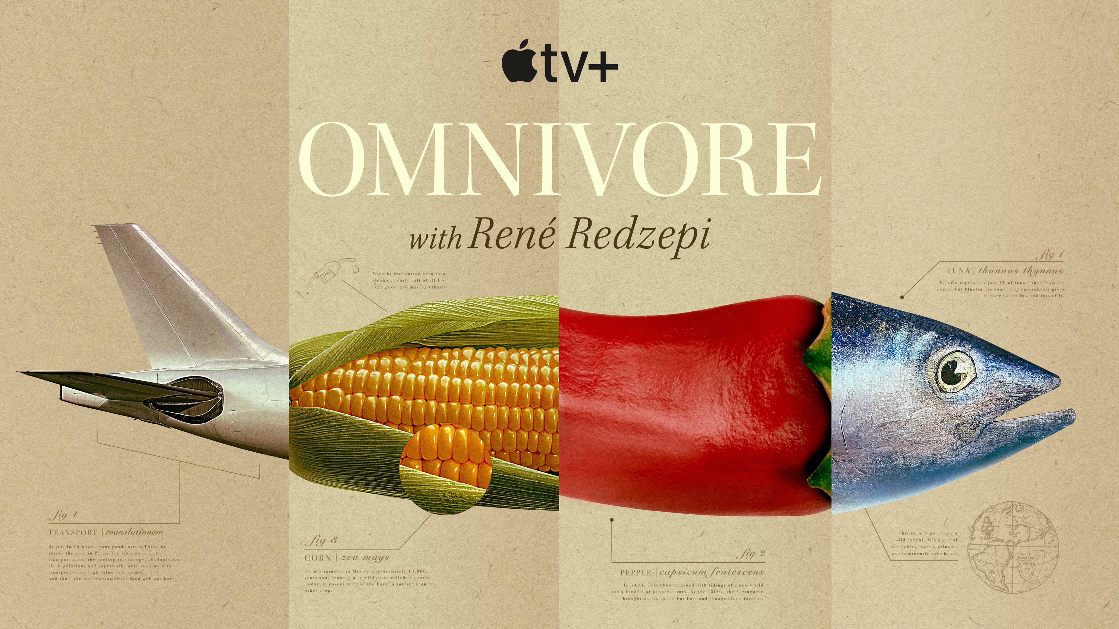 Dive into some of humanity's staple ingredients on "Omnivore," streaming now on Apple TV+.