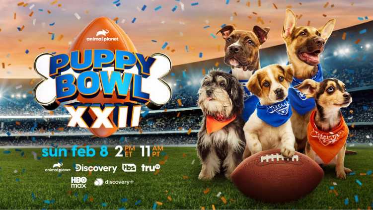 The 2026 Puppy Bowl - WBD Press
