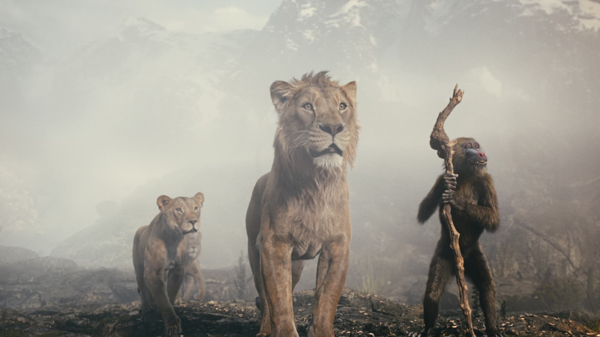 Mufasa: The Lion King is coming to theaters on Dec. 20, with a Disney+ debut to follow.