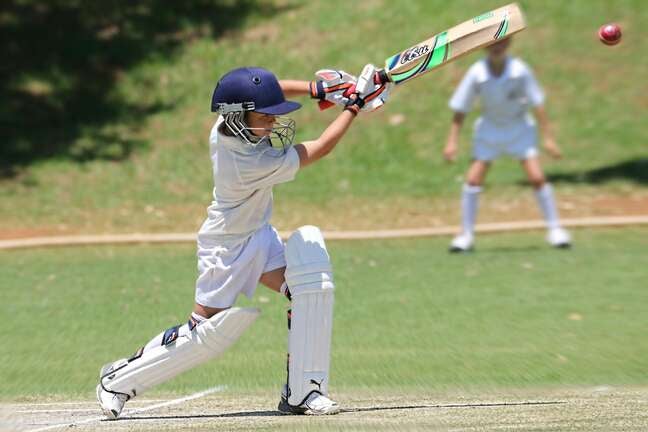 Willow TV is responsible for offering the most cricket in the United States.