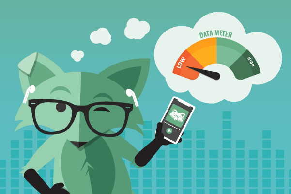 Mint Mobile is a great choice for streaming lovers.