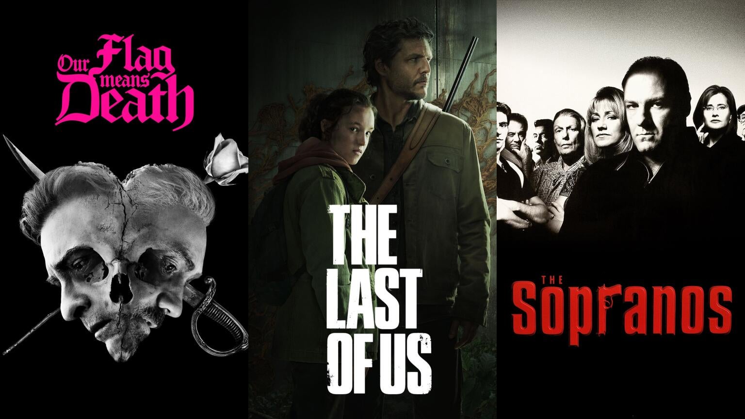 Posters for "Our Flag Means Death," "The Last of Us," and "The Sopranos"