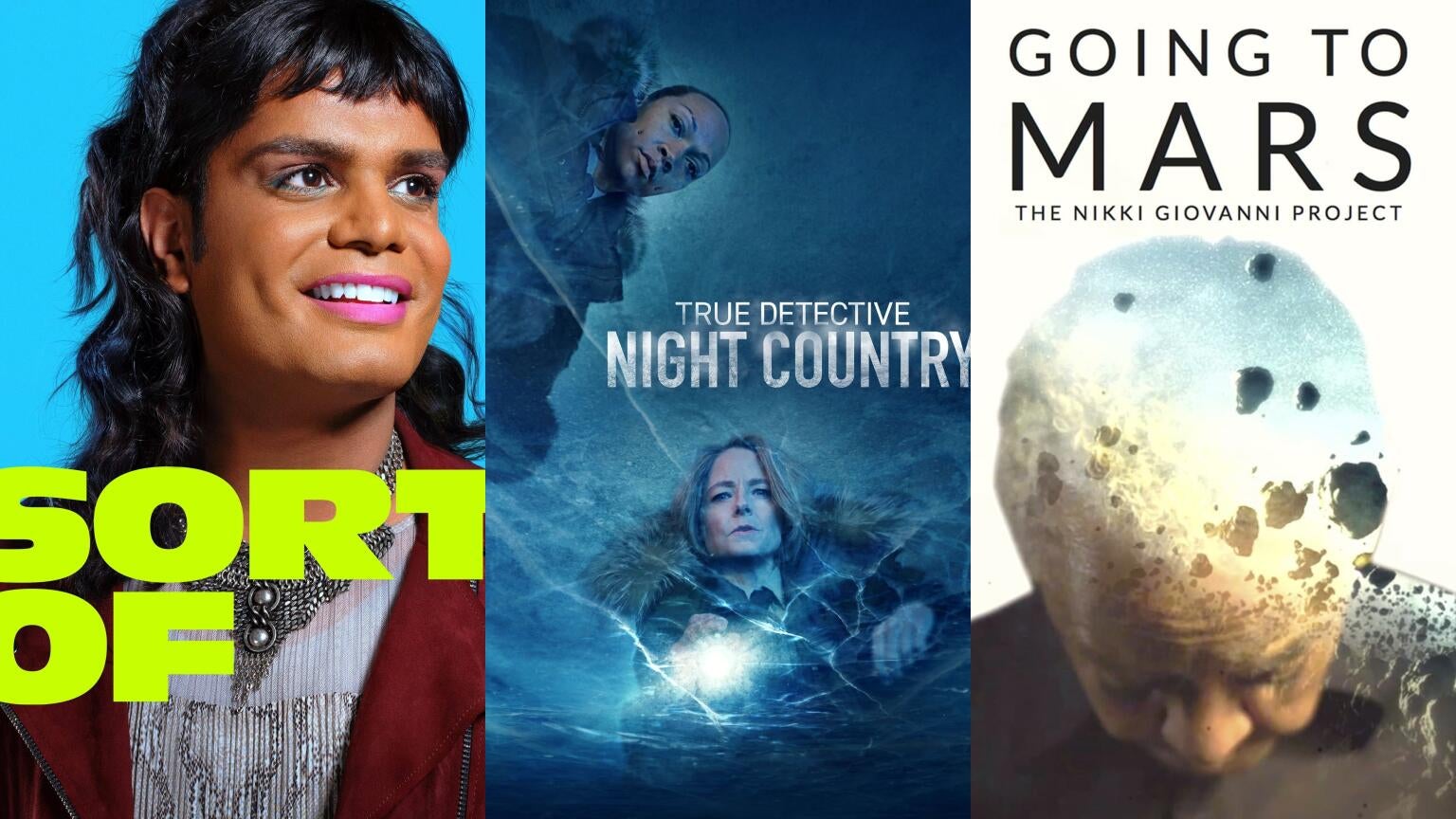 Posters for "Sort Of," "True Detective: North Country," and "Going to Mars: The Nikki Giovanni Project" on Max