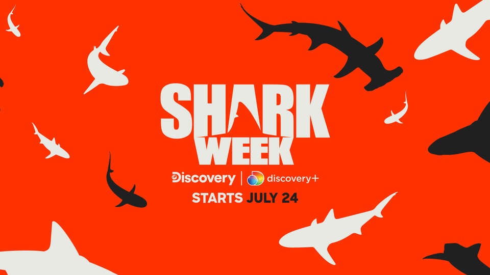 What’s Coming to discovery+ in July 2022, Including ‘Shark Week