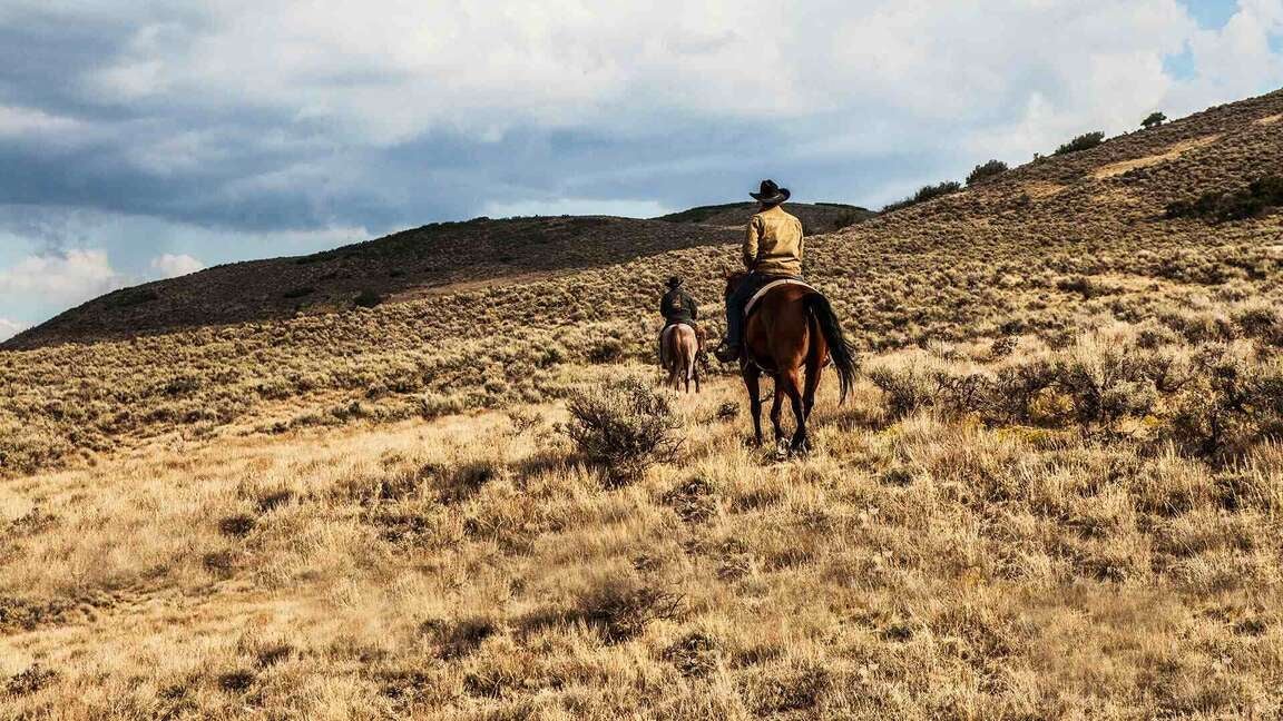 'Yellowstone' to Restart Production in Spring 2024; How to Catch Up on